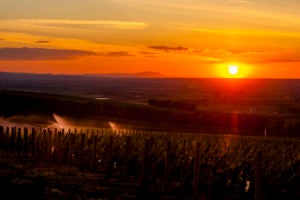 Sunset view from Les Collines Vineyard