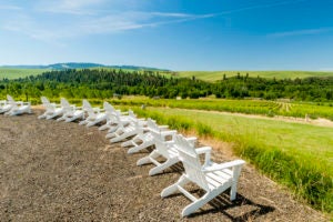 Adirondack chairs overlooking the Figgins Estate Vineyard