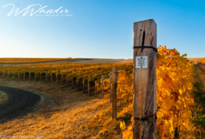 Walla Walla Valley Winemakers Share Itineraries for the Fall Season