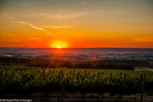 Sunset at Southwind Vineyards