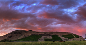 What 15 wineries hope visitors remember about Walla Walla 2